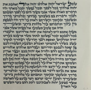 Sephardic Mezuzah Mehudar 8" (20 cm)