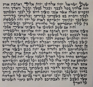 Sephardic Mezuzah Basic Kosher 5" (12 cm)