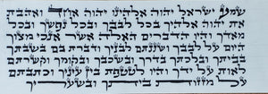 Ari script sample, available in Beis Yosef